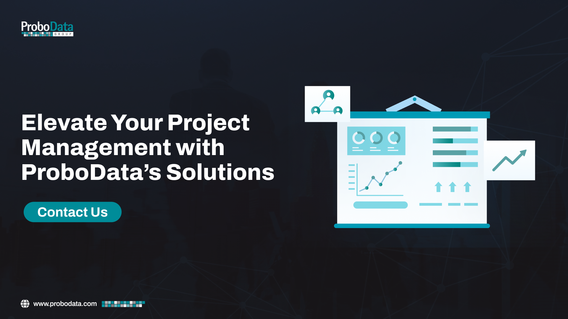 Elevate Your Project Management with ProboData